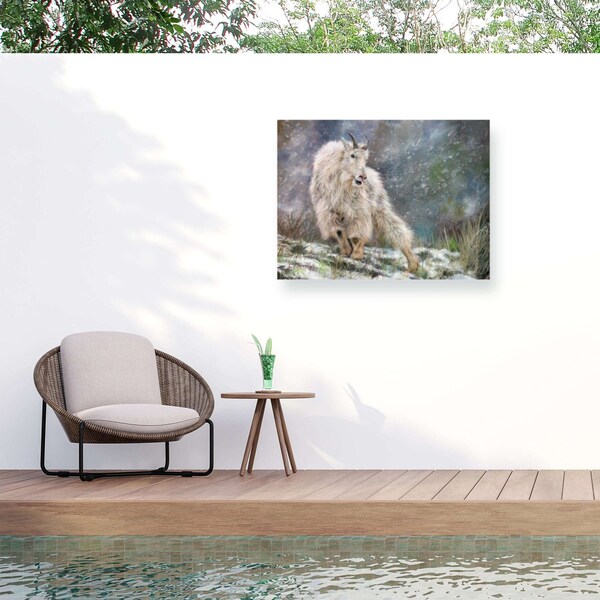Trademark Fine Art Outdoor Canvas Art David Stribbling WILD MOUNTAIN GOAT Wall Art for Patios, or Gardens GRL00322-OC2432WR - main