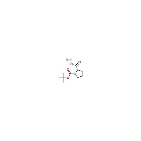Ak Scientific DL-N-Boc-proline hydrazide (1g), CAS 359803-43-3 B246-1g - main