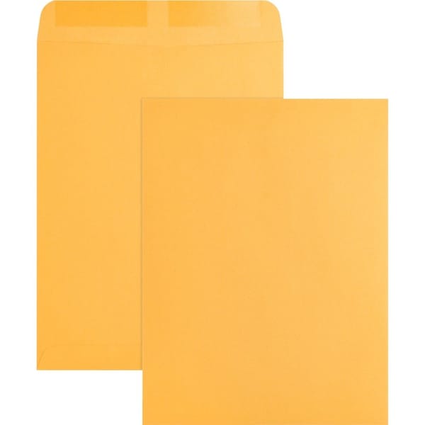 Business Source Catalog Envelope, Brown, Kraft, PK250 BSN42100 - main