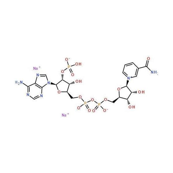 Ak Scientific beta-Nicotinamide adenine dinucleotide phosphate disodium salt (5g), CAS 24292-60-2 X4894-5g - main