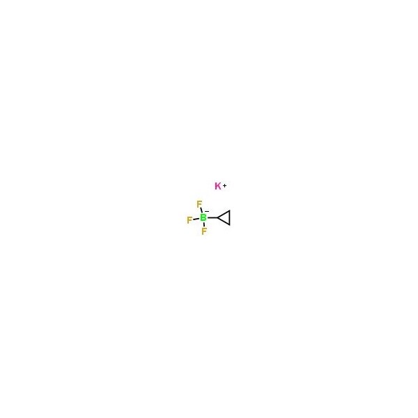 Ak Scientific Potassium cyclopropyltrifluoroborate (5g), CAS 1065010-87-8 B580-5g - main