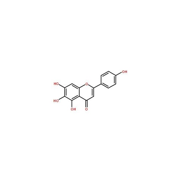 Ak Scientific Scutellarein (100mg), CAS 529-53-3 Y0183-100mg - main