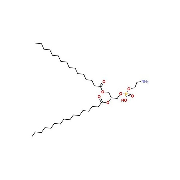 Ak Scientific 1, 2-Dipalmitoyl-sn-glycero-3-phosphoethanolamine (5g), CAS 923-61-5 B631-5g - main