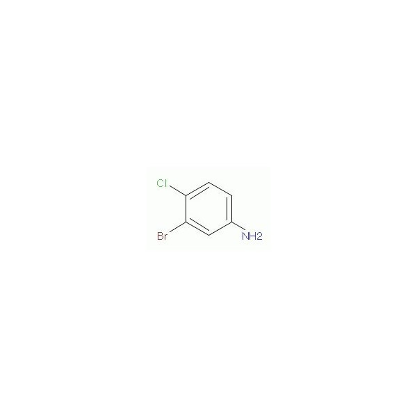 Ak Scientific 3-Bromo-4-chloroaniline (25g), CAS 823-54-1 W8614-25g - main
