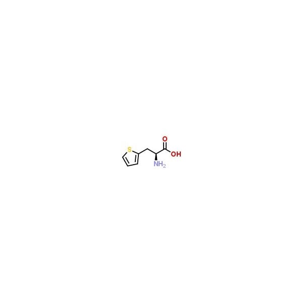 Ak Scientific 3-(2-Thienyl)-L-alanine (1g), CAS 22951-96-8 E439-1g - main