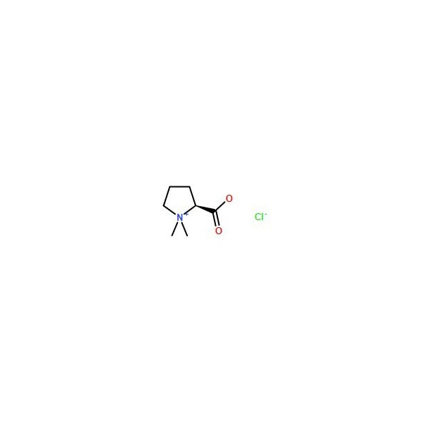 Ak Scientific Stachydrine HCl (1g), CAS 4136-37-2 Q257-1g - main