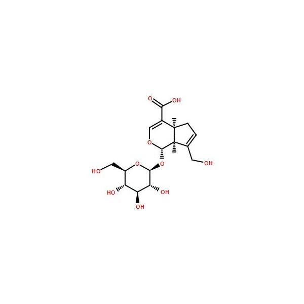 Ak Scientific Geniposidic acid (5mg), CAS 27741-01-1 Q252-5mg - main