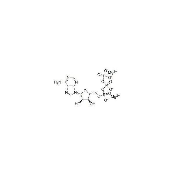 Ak Scientific Adenosine-5'-triphosphate magnesium salt (1g), CAS 74804-12-9 L924-1g - main