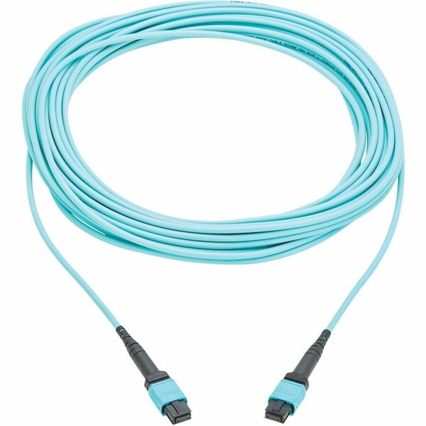 Eaton TRIPP LITE SERIES 100G MULTIMODE 50/125 OM4 FIBER OPTIC CABLE (12F MPO/MPO N845A-10M-12TAA - main