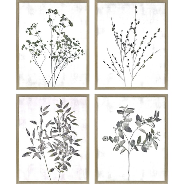 Homeroots Set Of Four Floral Wild Gold Framed Print Wall Art, 4PK 416792 - main