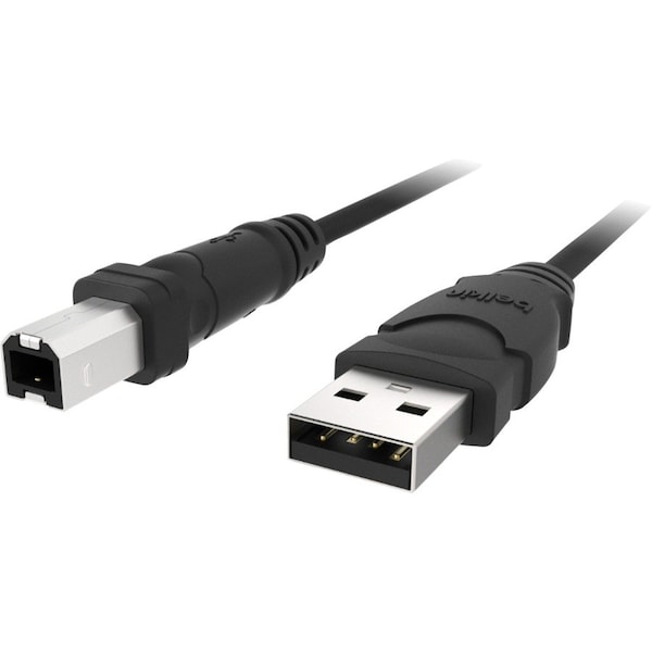 Belkin SYSTEM CABLE - 4 PIN USB TYPE A - MALE - 4 PIN USB TYPE B - MALE - 10FEET F3U133B10 - main