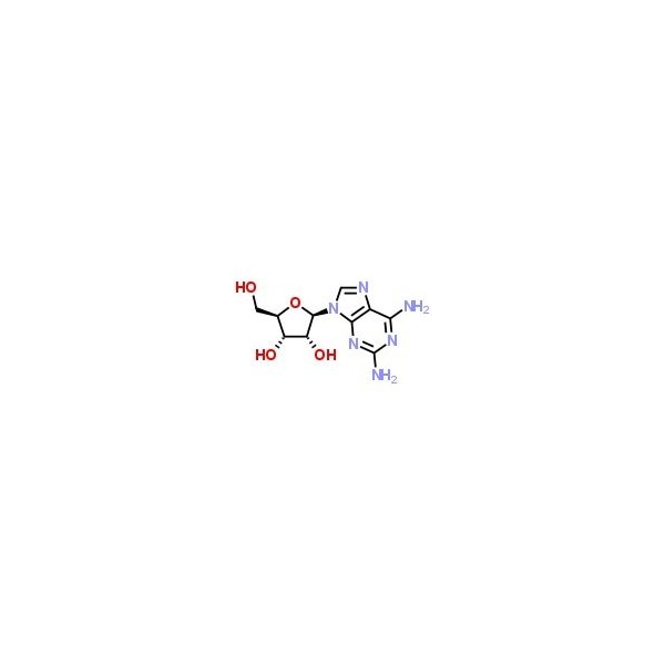 Ak Scientific 2-Amine adenosine (100g), CAS 2096-10-8 E385-100g - main