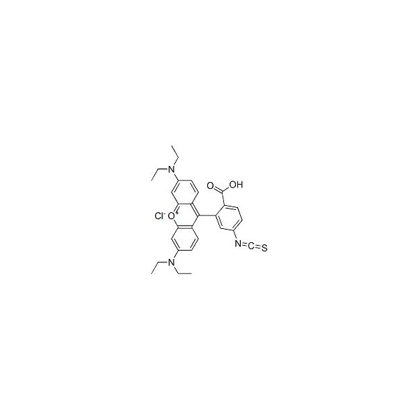 Ak Scientific Rhodamine B isothiocyanate (mixture of isomers), suitable for protein labelling (100mg), CAS 36877- M879-100mg - main