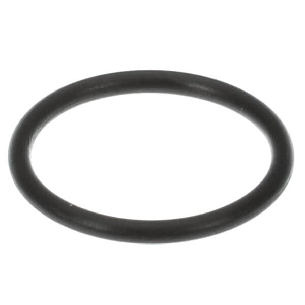 Rinnai O-RING DIA 25, 07 X 2, 62 3WV 809000058 - main