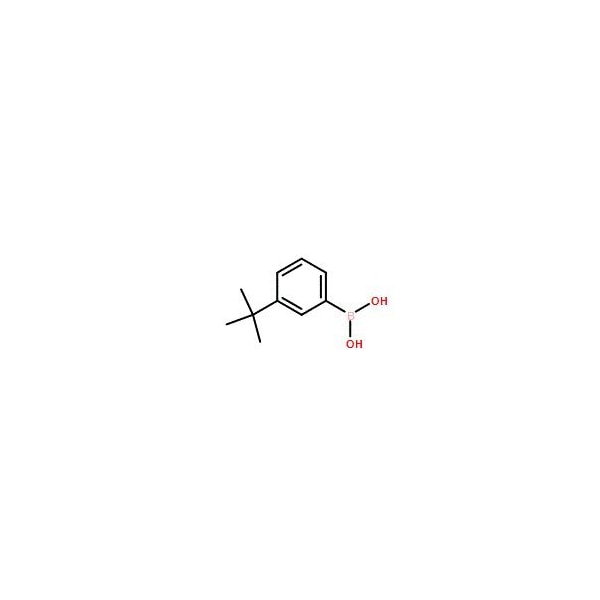 Ak Scientific 3-tert-Butylphenylboronic acid (5g), CAS 560132-24-3 X0888-5g - main