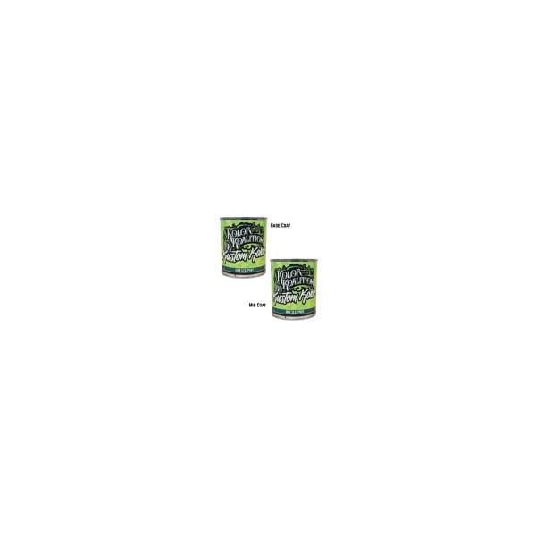 Kolor Koalition Automotive Touch Up Paint Nissan Silver Metallic 248 Pint TUS-Pint-NIS-248 - main