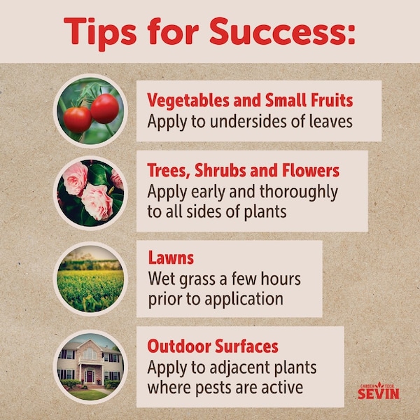 Garden Tech Sevin 32 Oz. Ready To Use Trigger Spray Insect Killer 100547232 - main