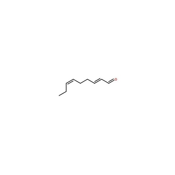 Ak Scientific trans-2, cis-6-Nonadienal (1g), CAS 557-48-2 9198AL-1g - main
