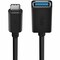 Belkin BELKIN 3.0 USB-C TO USB-A ADAPTER  USB TYPE-C B2B150-BLK - alternate 2