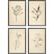 Homeroots Set Of Four Vintage Line Black Framed Print Wall Art, 4PK 526140 - alternate 1