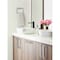 Amerock Esquire Polished Nickel/Stainless Steel Contemporary 5-1/4 in 133 mm Length Towel Ring BH26612PNSS - alternate 2