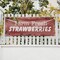 Signmission Farm Fresh Strawberries, 36 Inch x 96 Inch, Vinyl Banner B-96-30616 - alternate 2