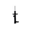 Fcs Struts Suspension Strut 333987R - alternate 1