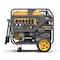 Firman Portable Generator, 30 A, 120/240 VAC, Gasoline, 13 gal Tank, 11 hr Run Time, Electric Start P12002 - alternate 1