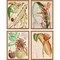 Homeroots Set Of Four Tropical Variety Gold Framed Print Wall Art, 4PK 525175 - alternate 1