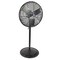 Schaefer Pedestal Fan, 24 in Blade Dia, 115V, Oscillating TW24B-PRB - alternate 1