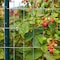 American Posts American Posts 36 in. H X 50 ft. L Steel Welded Wire Fence 2 in. 213650 - alternate 2