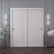 Sartodoors Sliding Closet Bypass Doors 60x84 inches White Solid Core Modern Interior ROYAL9888DBD-EMAL-6084 - alternate 1