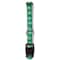 Casual Canine Dog Collar, 6 to 10 in L Collar, 3/8 in W Collar, Nylon, Green ZA8871 06 43 - alternate 2