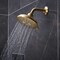 Grohe Relexa Shower Arm Npt Us 27412GN0 - alternate 2
