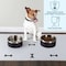 Petmaker Set of 2 Stainless Steel Dog Bowls 64oz Double Wall Insulated Non Slip Metal for Medium-Large Pets PET6427 - alternate 2
