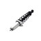 Fcs Struts Suspension Strut And Coil Spring Assembly 1345596R - alternate 2
