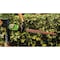 Greenworks 80V Brushless 26'' Hedge Trimmer, Tool Only 2212102 - alternate 2