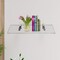 Fab Glass And Mirror Acrylic Shelf 6 x 36inces Brushed Nickel Bracket 3/4in Thickness Acrylic Pack of 1 AS19SC-6x36BN1P - alternate 2