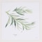 Homeroots Set Of Four Herbs Gold Framed Print Wall Art, 4PK 416717 - alternate 1