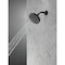 Delta Universal Showering Components 5-Setting Showerhead 52535-BL - alternate 3