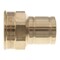 Viega ProPress adapter FTG CTS 1 FPT 1 bronze 79450 - alternate 2