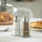 Basicwise Multifunctional Glass Salt and Pepper Shaker Set with Stainless Steel Holder - Perfect for QI004715 - alternate 2