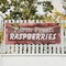 Signmission Farm Fresh Raspberries, 24 Inch x 72 Inch, Vinyl Banner B-72-30614 - alternate 2