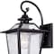 Homeroots Matte Black Terrarium Shape Wall Light 398645 - alternate 2