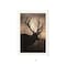 Homeroots Elk Sunrise White Framed Print Wall Art 530015 - alternate 2