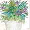 Homeroots Set Of Two Succulents Dream and Believe White Framed Print Wall Art, 2PK 407931 - alternate 2