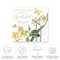 Trademark Fine Art Outdoor Canvas Art - Katie Pertiet 'Citron Curiosities IV' Wall Art for Patios, or Gardens WAP03183-OC1414WR - alternate 2