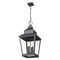 Z-Lite Raphael Sand Black 4 Light Outdoor Chain Mount Ceiling Fixture 5029CHXL-BK - alternate 2