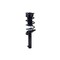 Fcs Struts Suspension Strut And Coil Spring Assembly 2337231 - alternate 1