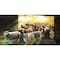 Samsung 65-in. Class Samsung Neo QLED 8K QN800C Smart TV QN65QN800CFXZA - alternate 2